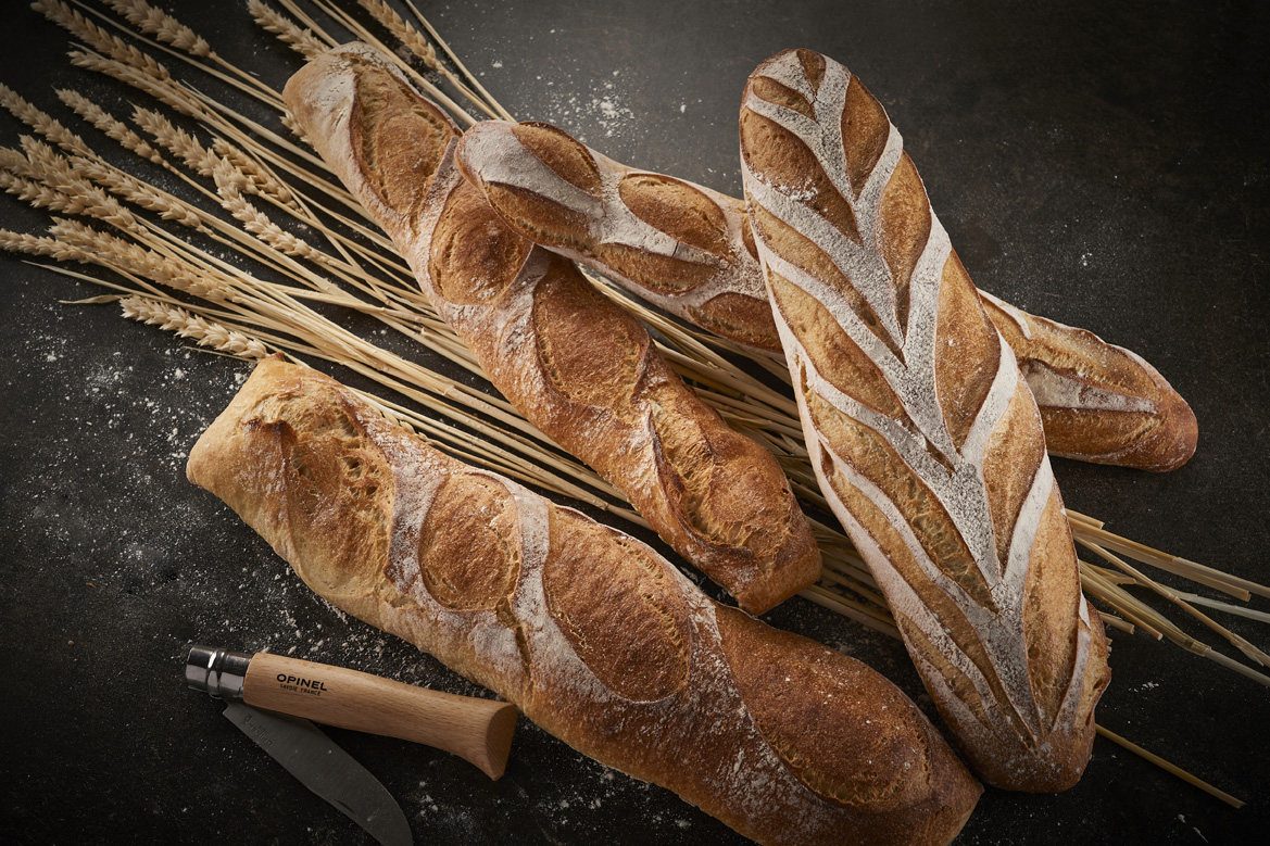 FLORENTINE_FAMILLE_23 FLORENTINE_FAMILLE_23